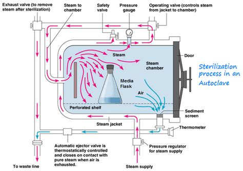 laboratory steam autoclave|steam sterilization temperature chart.